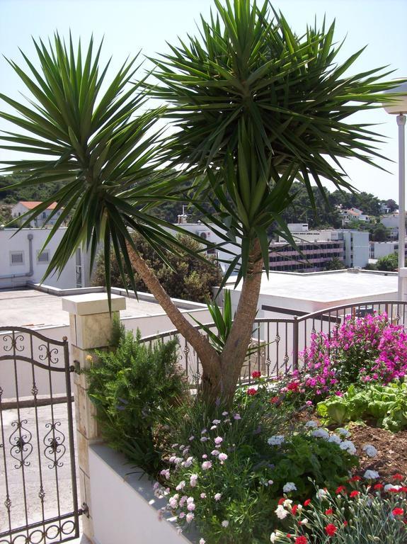 Apartments Prosperina Hvar Đảo Hvar Ngoại thất bức ảnh